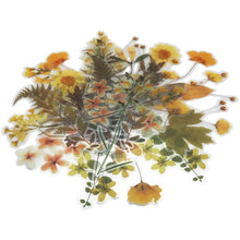 Load image into Gallery viewer, ZMLSED Vintage Natural Stickers, 40Pcs Field Plant Decorative Retro Decals Adhesive Watercolor Aesthetic Trendy for Scrapbook Laptop Skins Album DIY Craft Daily Planner