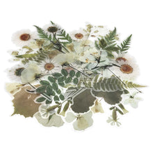 Load image into Gallery viewer, ZMLSED Vintage Natural Stickers, 40Pcs Flowers Decorative Retro Decals Adhesive Watercolor Aesthetic Trendy for Scrapbook Laptop Skins Album DIY Craft Daily Planner