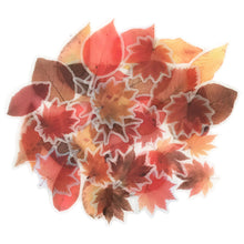 Load image into Gallery viewer, ZMLSED Vintage Stickers, 40Pcs Autumn Flower Leaf Decorative Retro Decals Adhesive Aesthetic Trendy for Scrapbook Laptop Skins Album DIY Craft Daily Planner